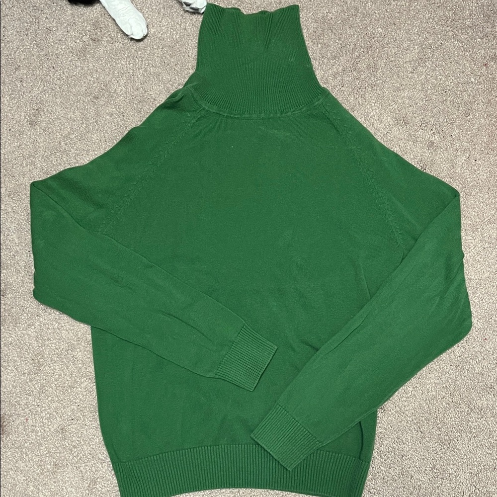JEANNE PIERRE Forest Green Turtleneck Sweater